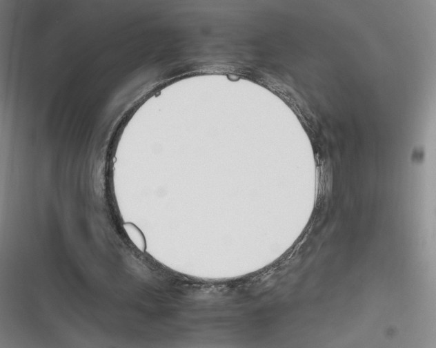 X0000116290243201001111102