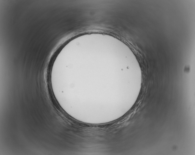 X0000116290244201001111102