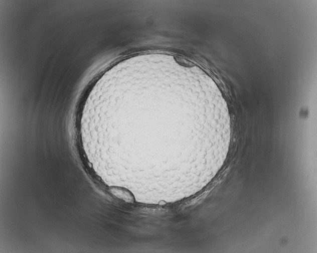 X0000116290245201001111102