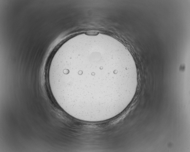 X0000116290246201001111102