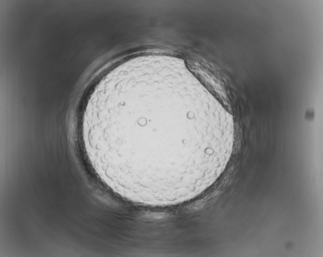 X0000116290247201001111102