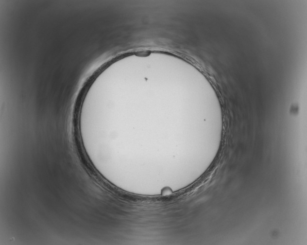 X0000116290248201001111102