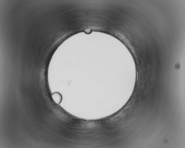 X0000116290249201001111102