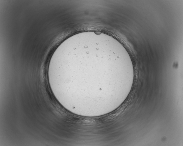 X0000116290250201001111102