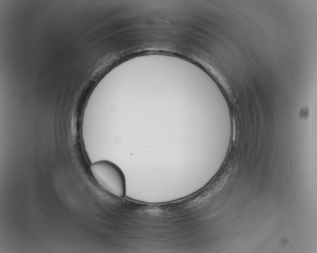 X0000116290253201001111102