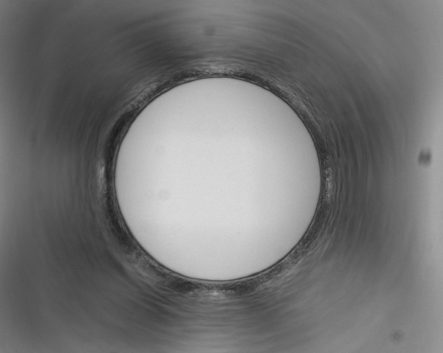 X0000116290254201001111102