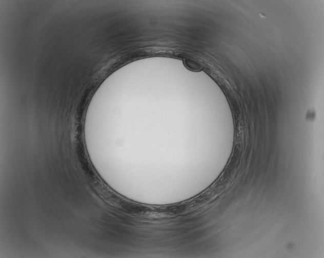 X0000116290255201001111102