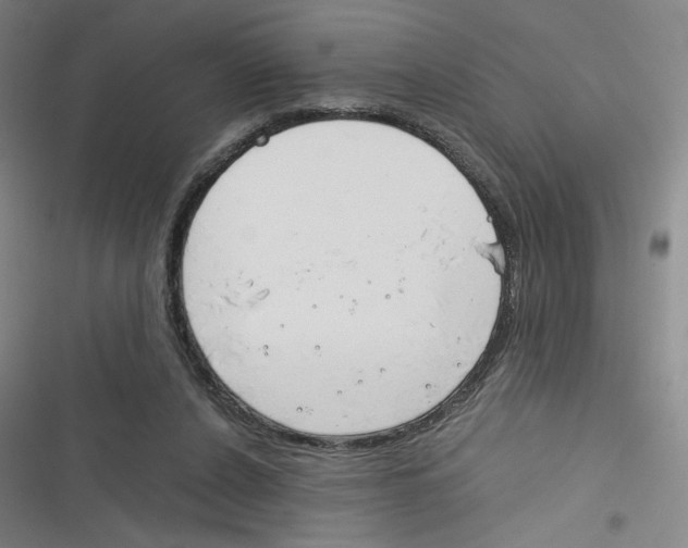 X0000116290256201001111102