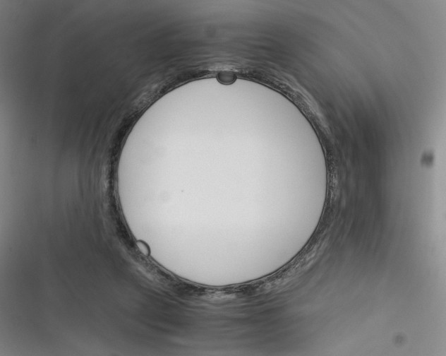 X0000116290257201001111102