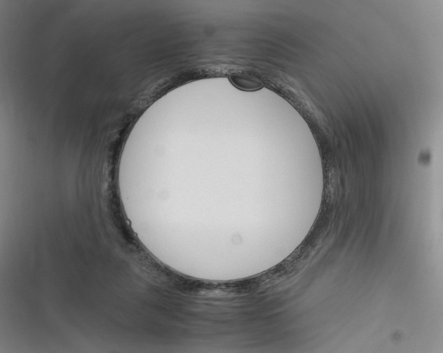 X0000116290259201001111102