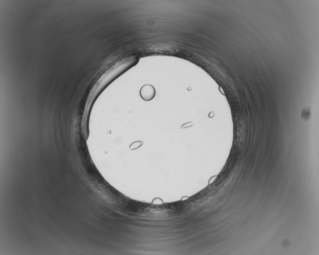 X0000116290260201001111102