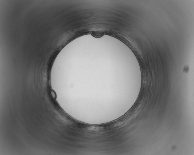 X0000116290261201001111102