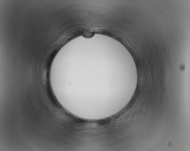 X0000116290262201001111102