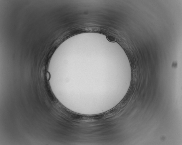 X0000116290263201001111102