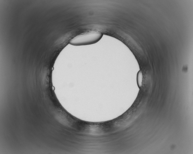 X0000116290264201001111102