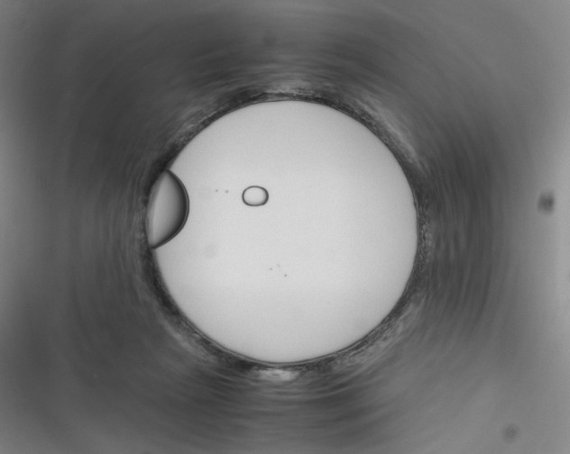 X0000116290265201001111102