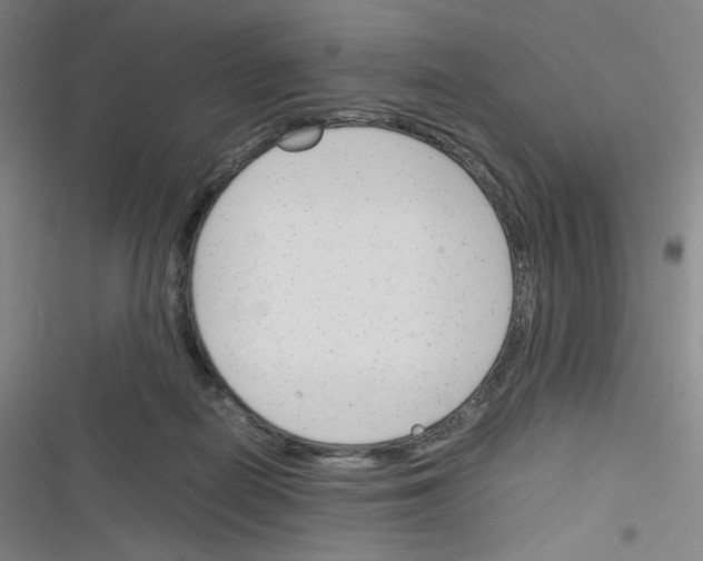 X0000116290266201001111103