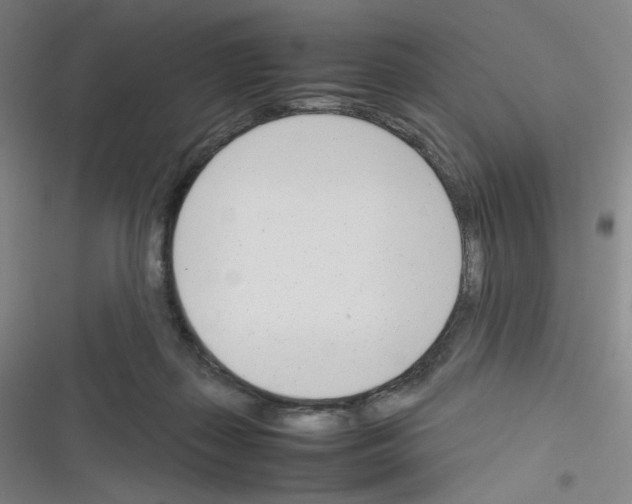 X0000116290267201001111103