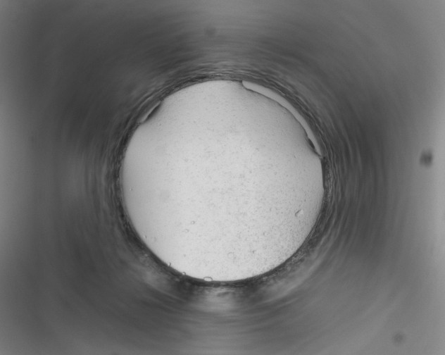 X0000116290268201001111103