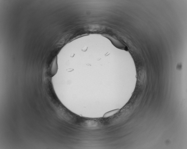 X0000116290272201001111103