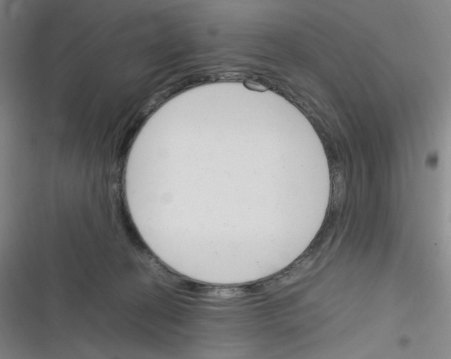 X0000116290274201001111103