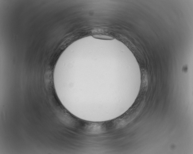 X0000116290276201001111103