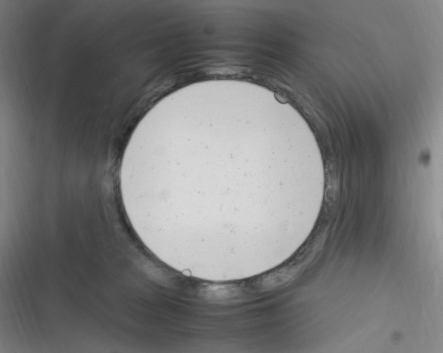 X0000116290277201001111103