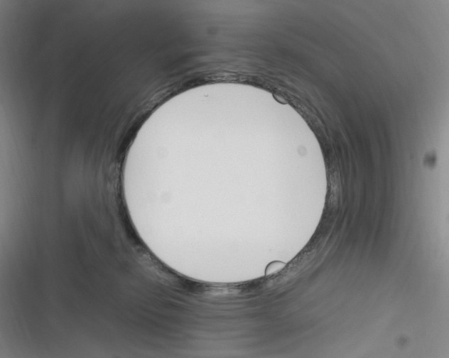 X0000116290278201001111103