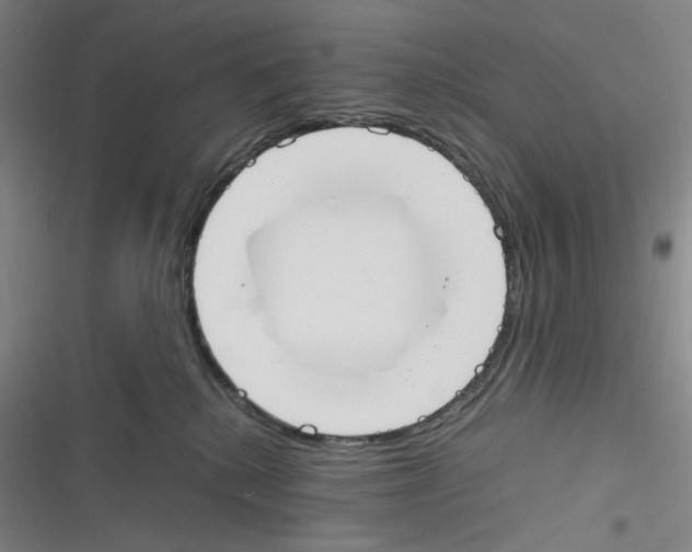 X0000116290280201001111103