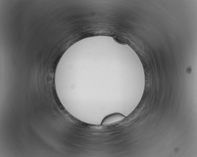 X0000116290281201001111103