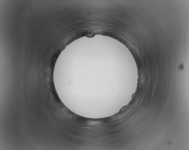 X0000116290283201001111103