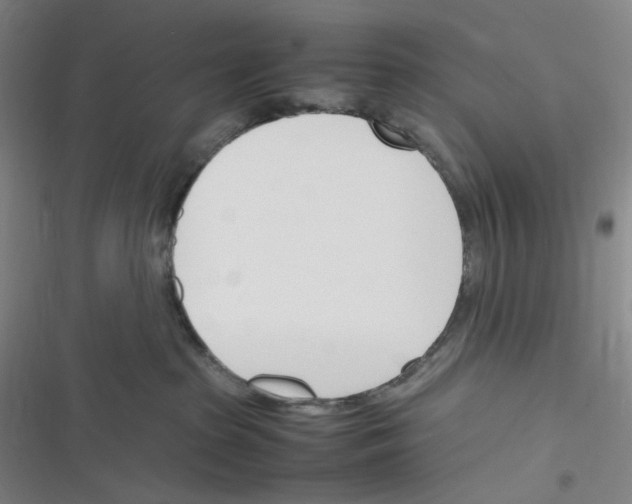 X0000116290285201001111103