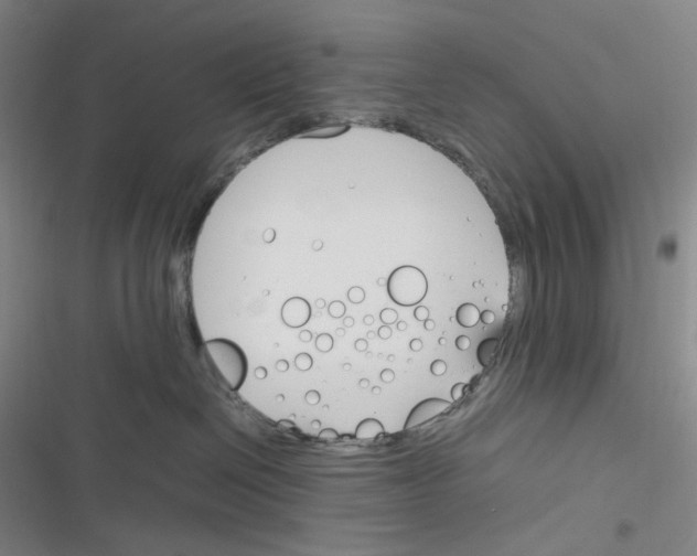 X0000116290286201001111103