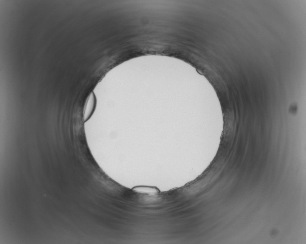 X0000116290287201001111103