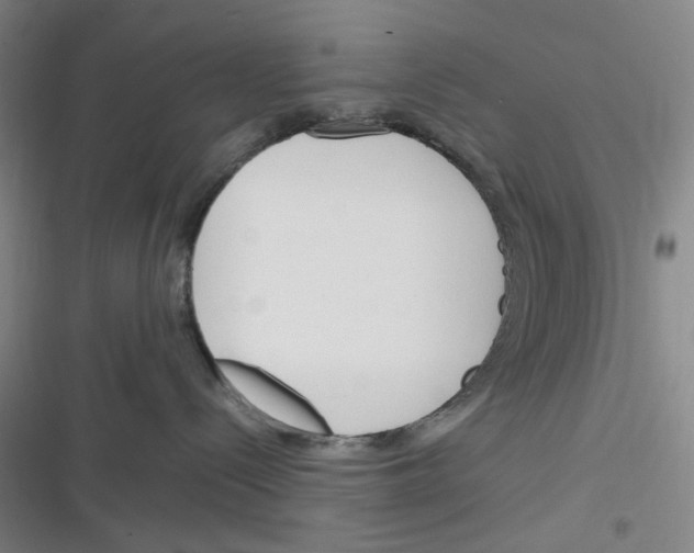 X0000116290288201001111103