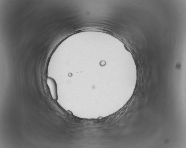 X0000116290289201001111102