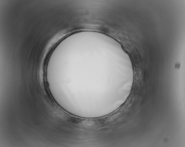 X0000116290294201001111102