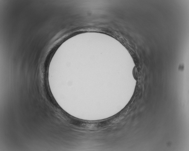 X0000116290295201001111102