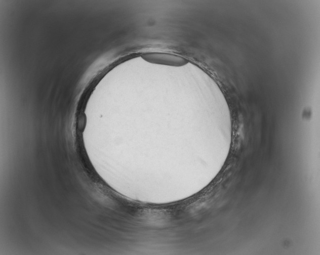 X0000116290296201001111102