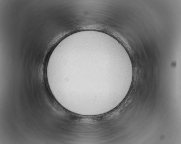 X0000116290298201001111102