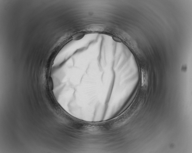 X0000116290300201001111102