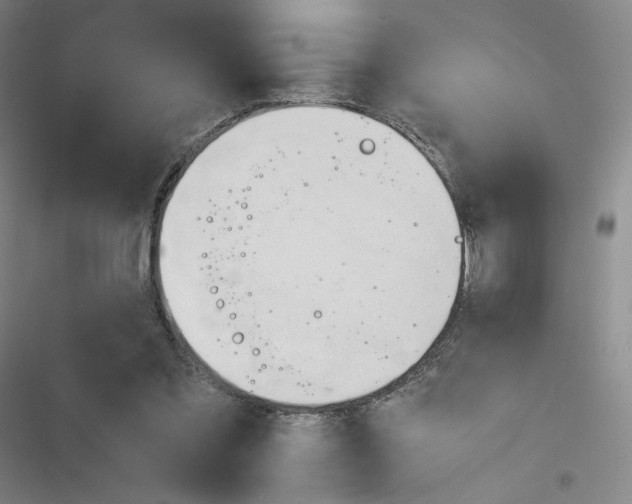 X0000116290301201001111102