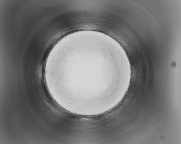 X0000116290302201001111102