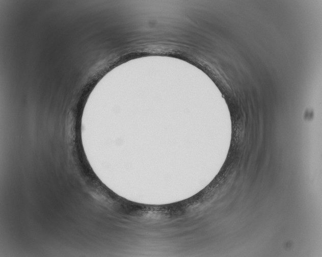 X0000116290303201001111102