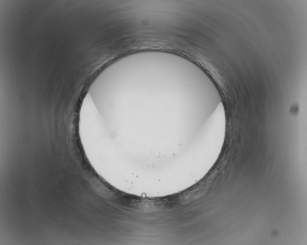 X0000116290305201001111102