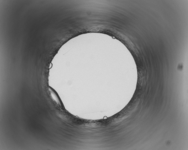 X0000116290307201001111102