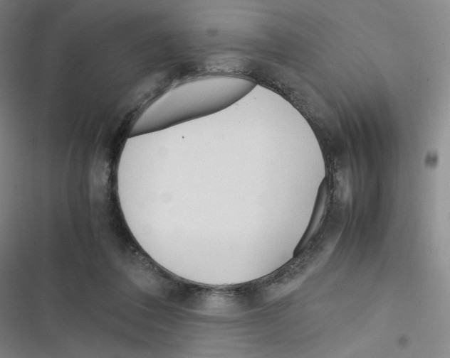 X0000116290308201001111102