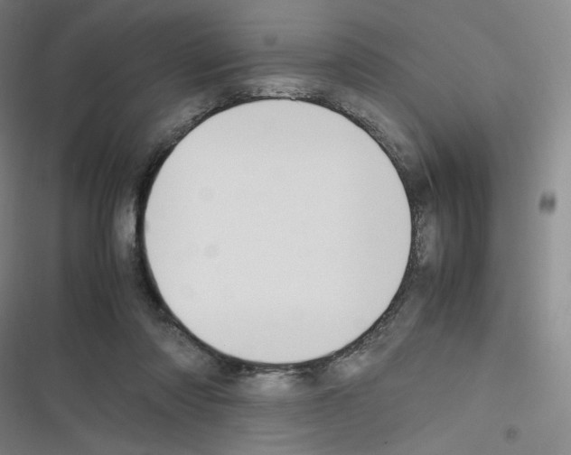 X0000116290310201001111102