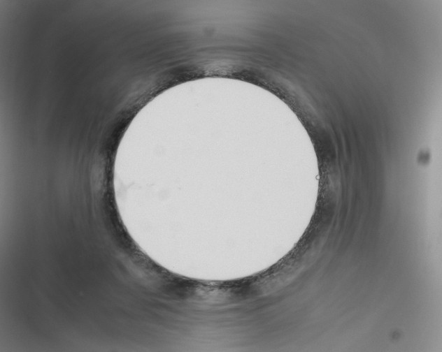 X0000116290311201001111102