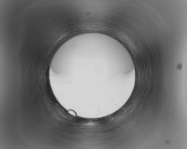 X0000116290312201001111102